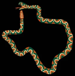 Texas Diamondbacks Texas snake footer mark